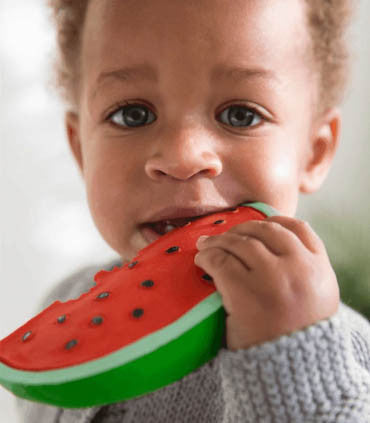 Wally The Watermelon Teether