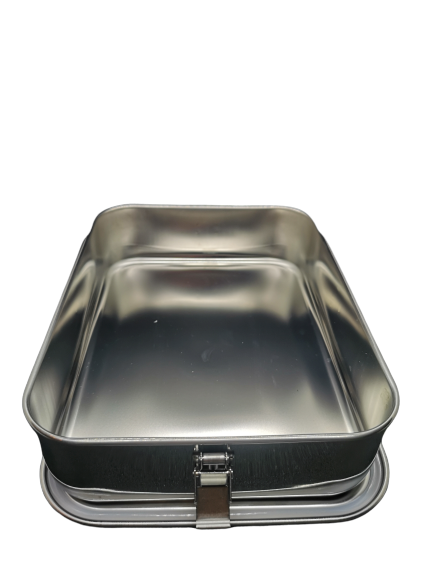 Stainless Steel Bento Box with Removeable Dividers